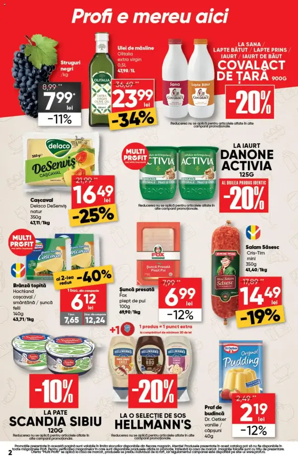 Pagina 2