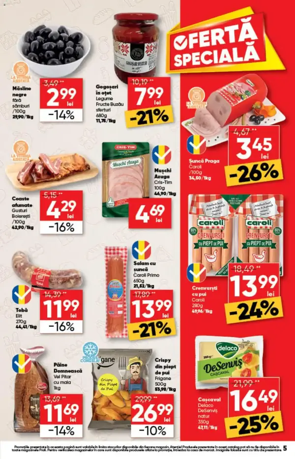Pagina 5