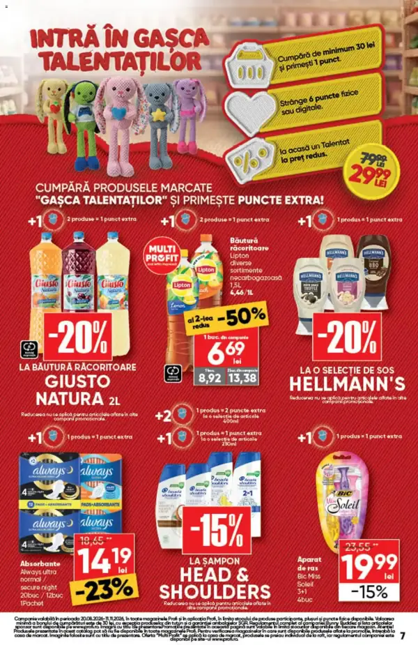 Pagina 7