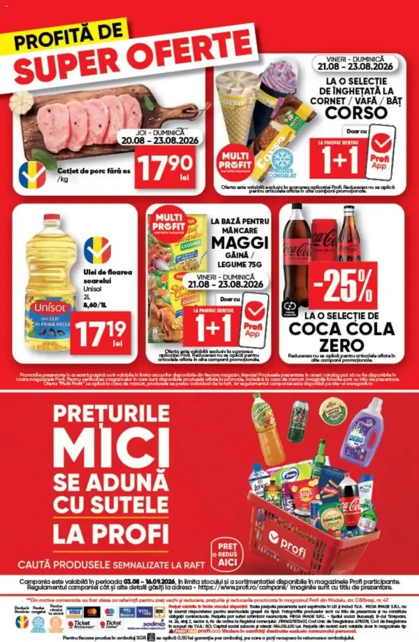 Pagina 13