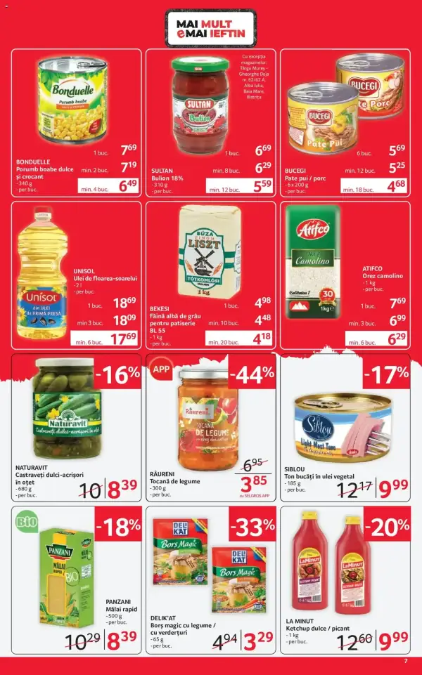Pagina 7