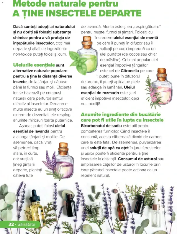Pagina 31