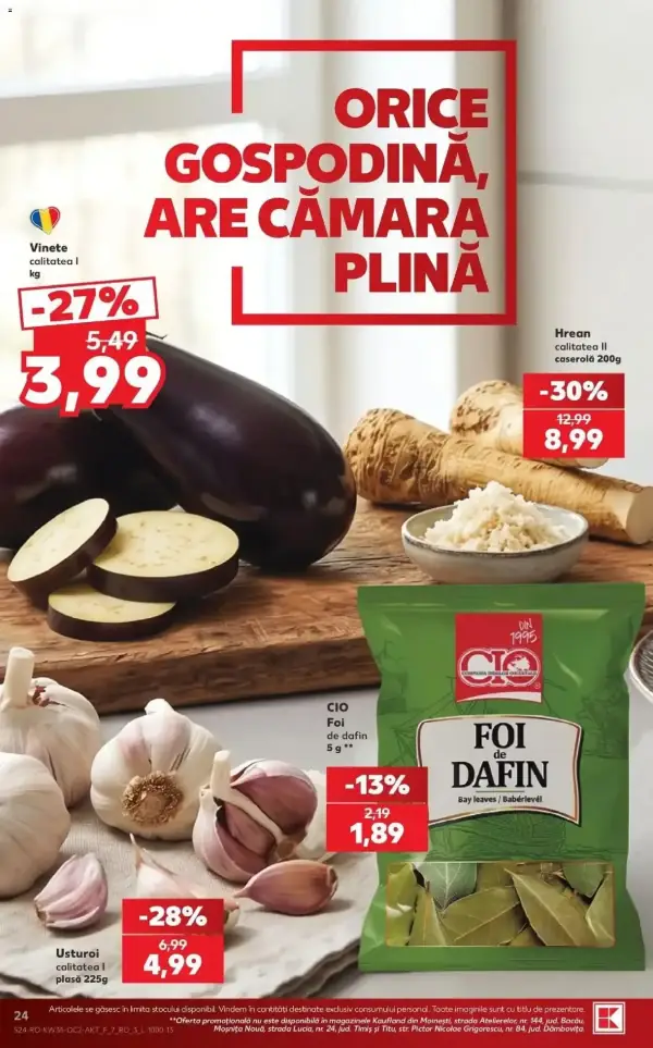 Pagina 24