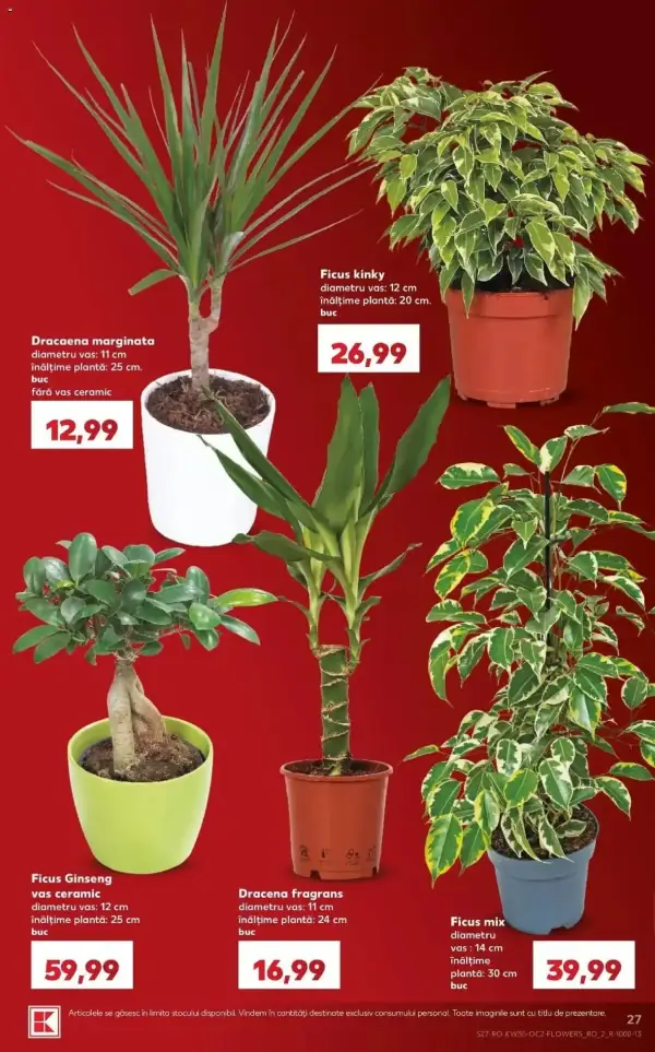 Pagina 27