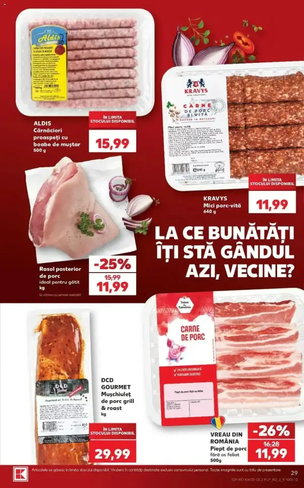 Pagina 29