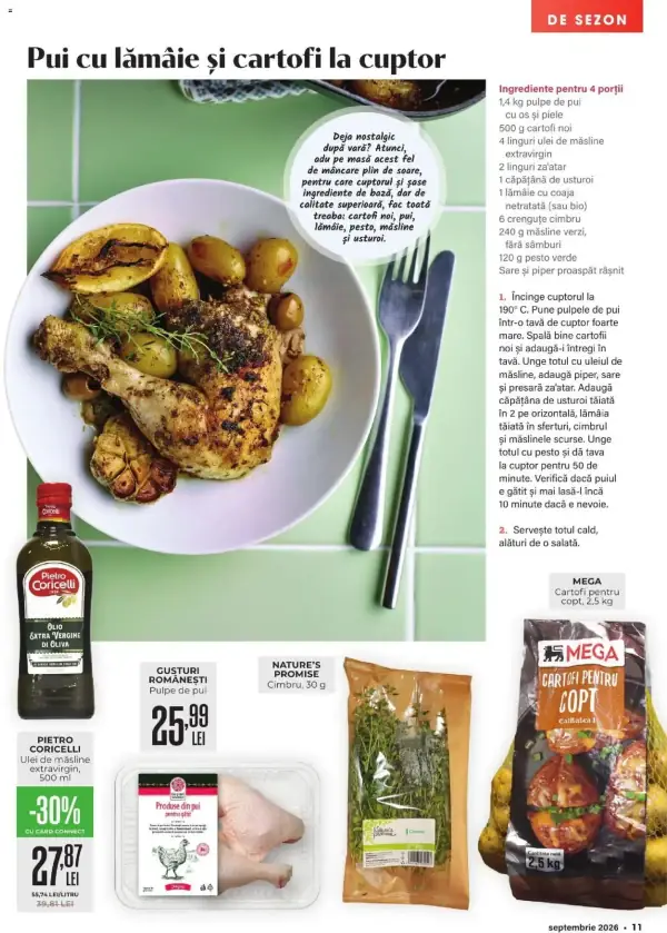 Pagina 11