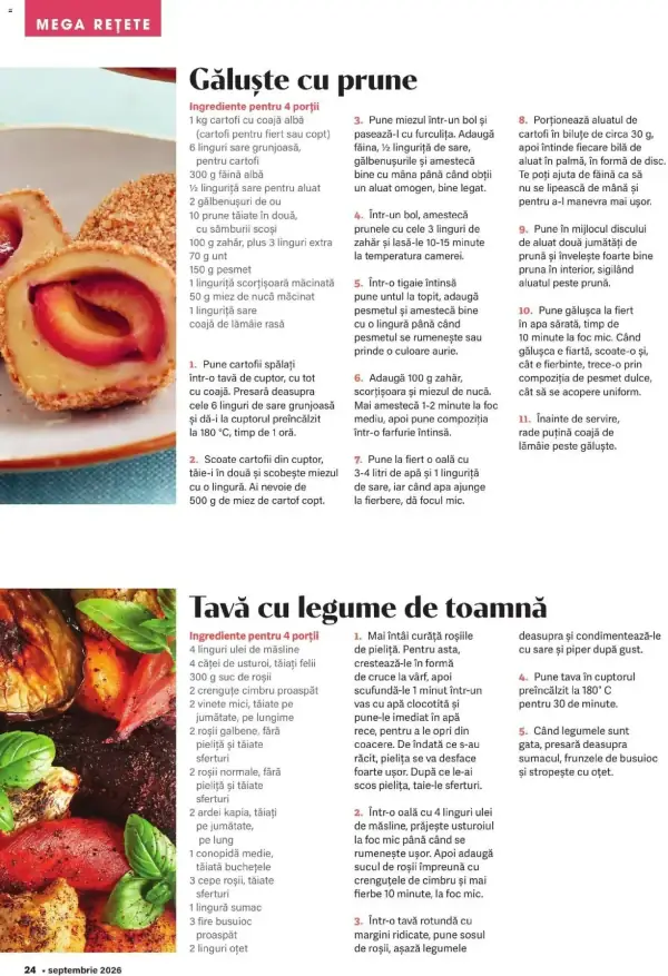 Pagina 24