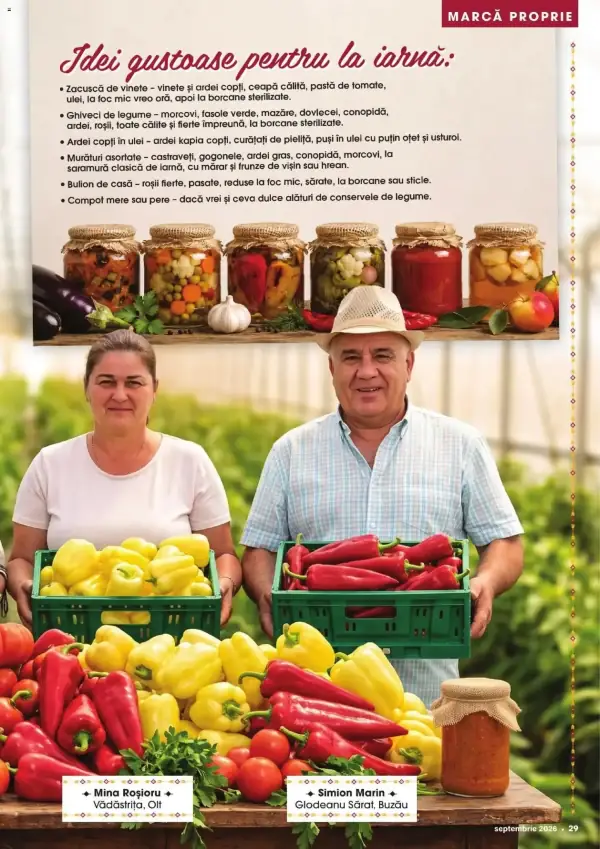 Pagina 29