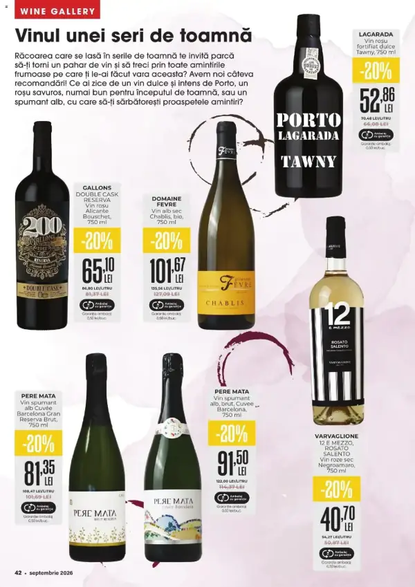 Pagina 42