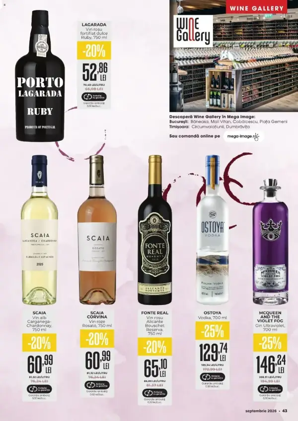 Pagina 43