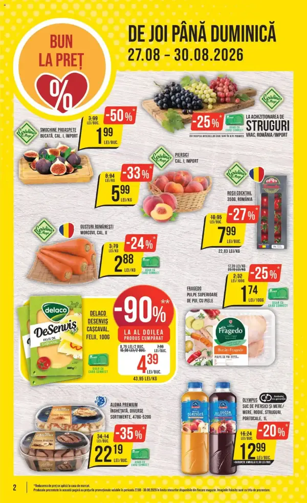 Pagina 2
