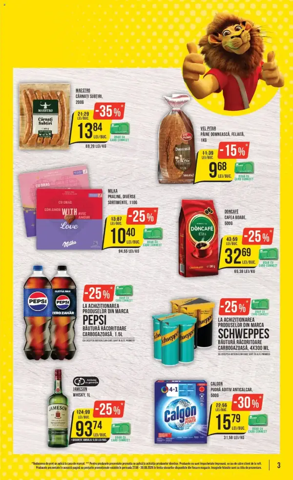 Pagina 3