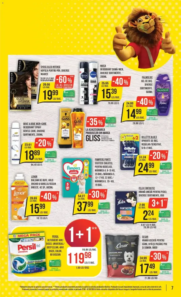 Pagina 7