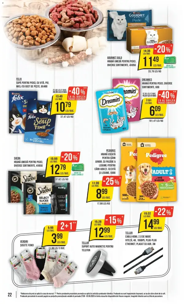 Pagina 22