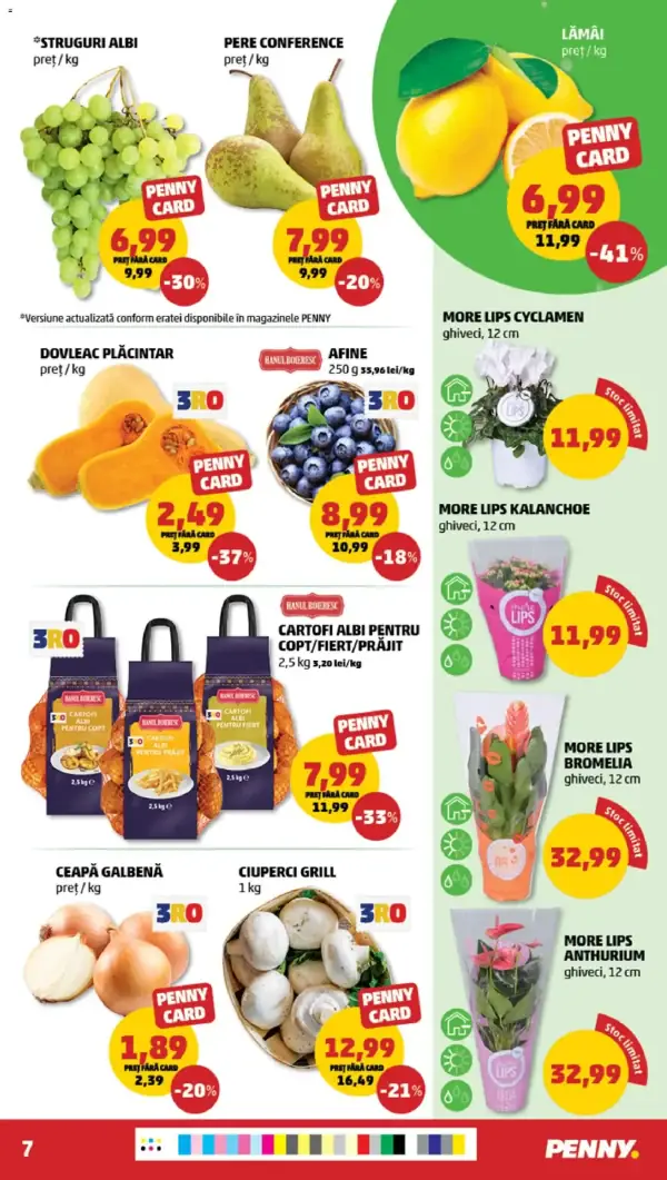 Pagina 7