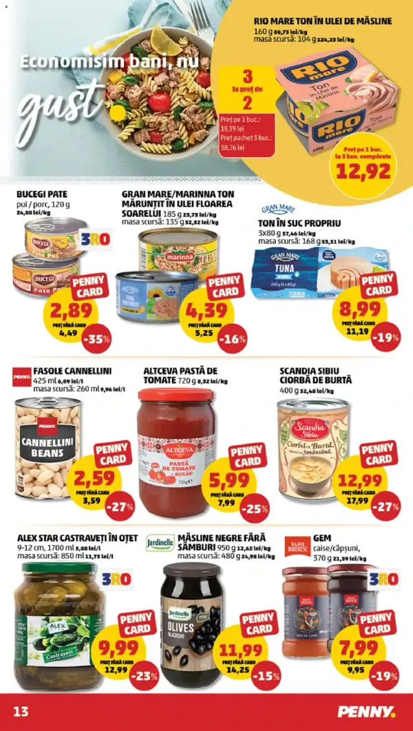Pagina 13