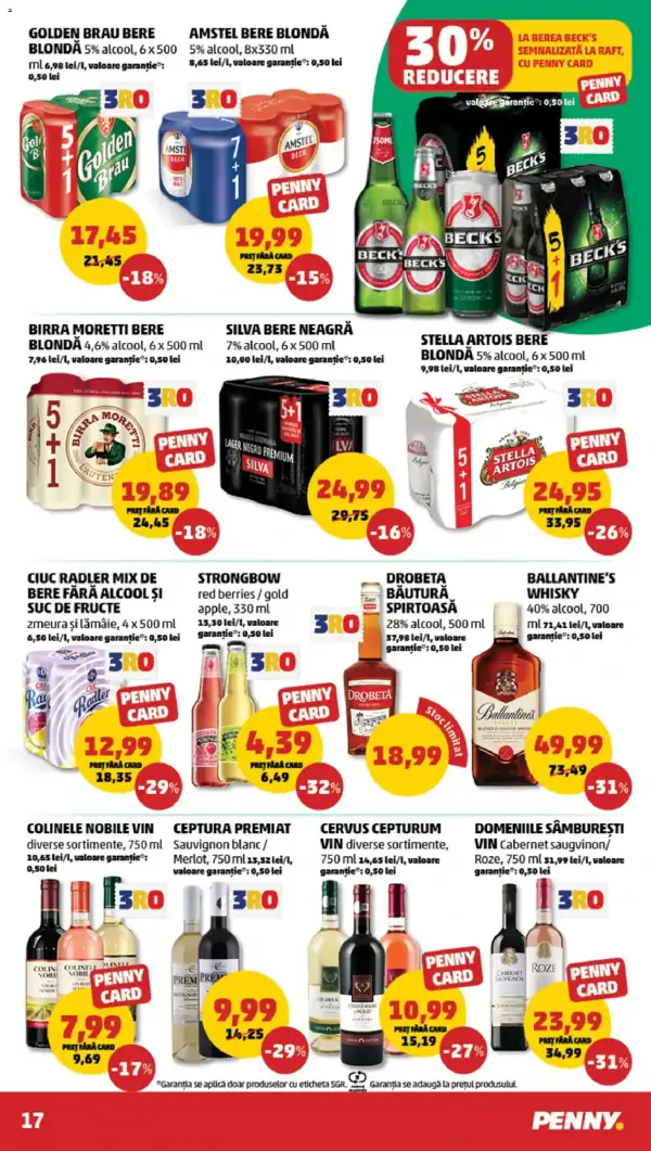 Pagina 17