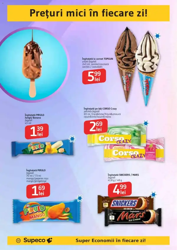 Pagina 12