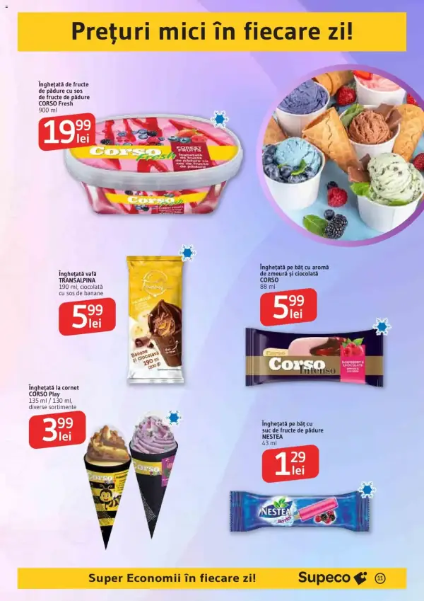 Pagina 11