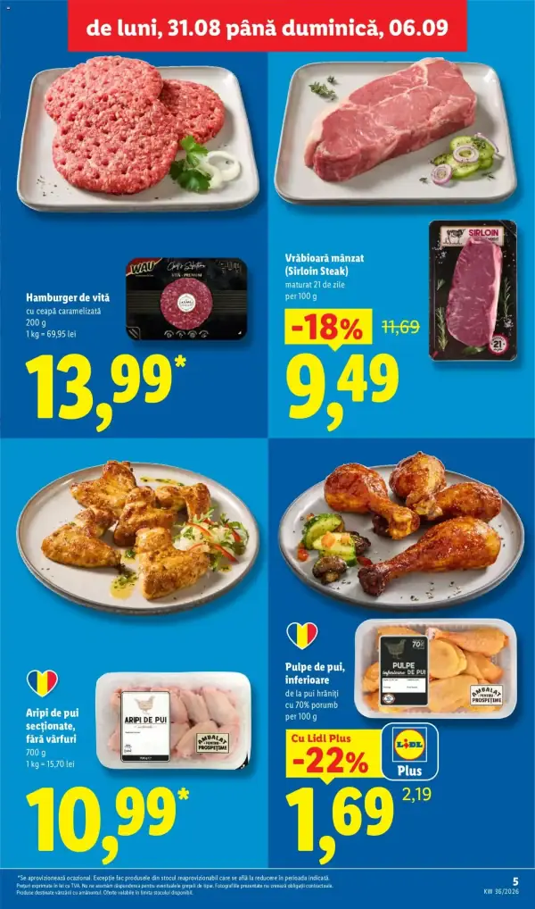 Pagina 5
