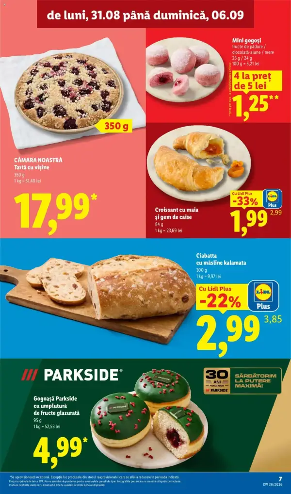 Pagina 7