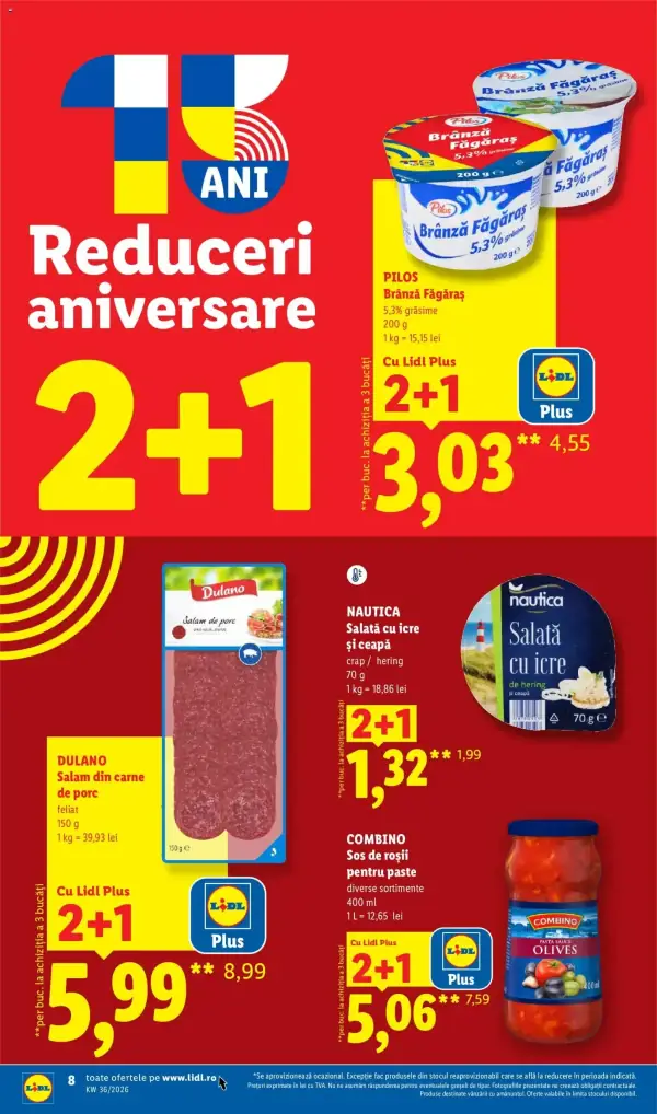 Pagina 8