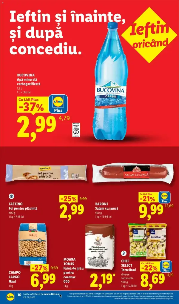 Pagina 10
