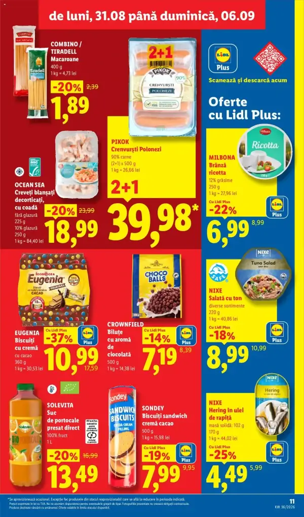 Pagina 11