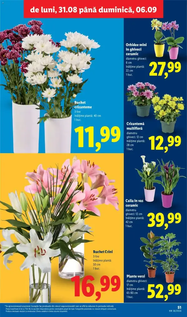 Pagina 51