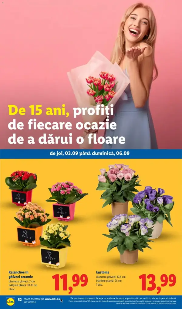 Pagina 52