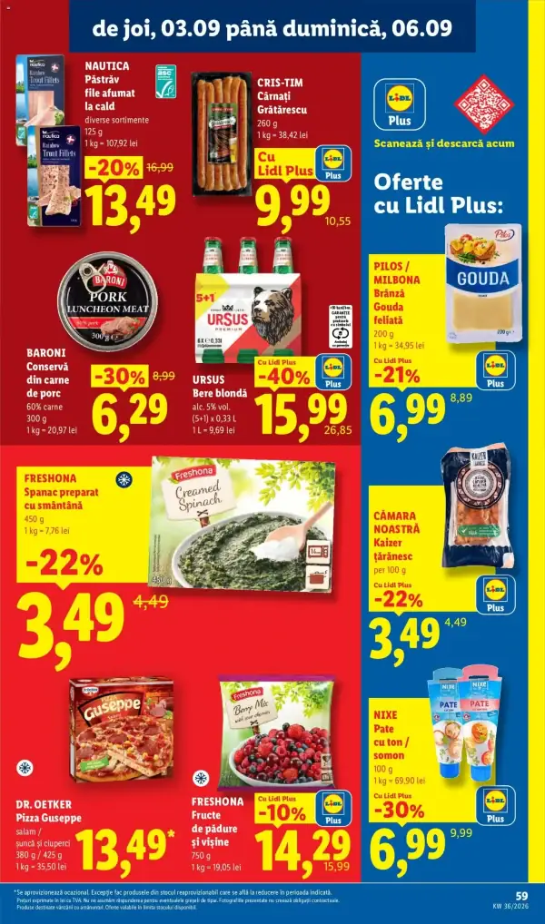 Pagina 59
