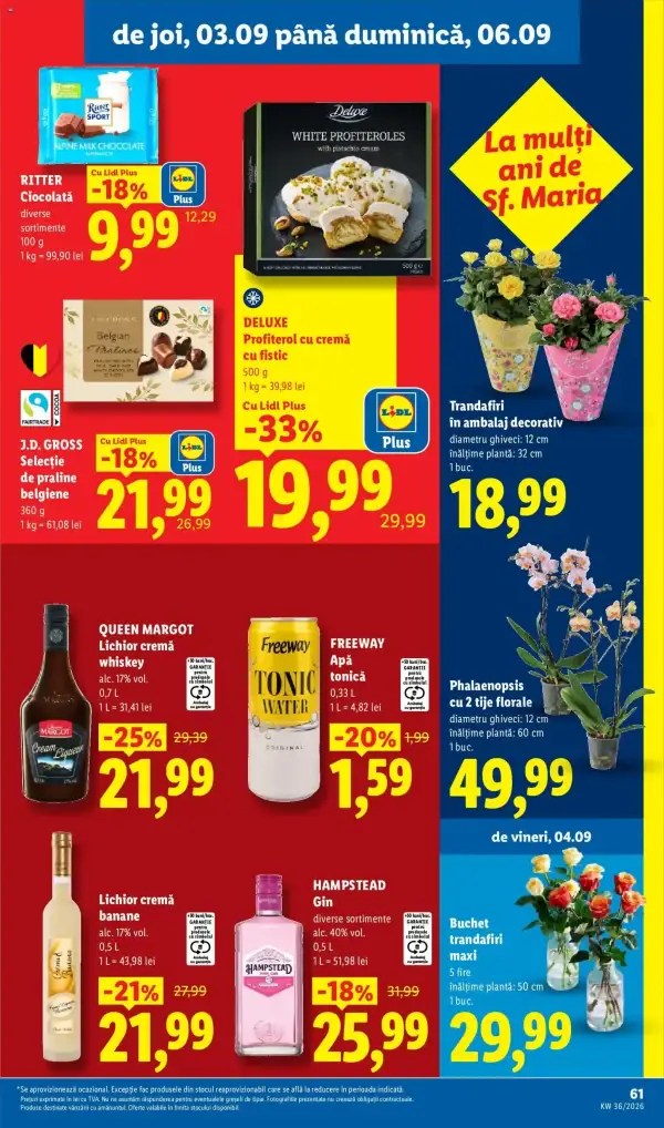 Pagina 61