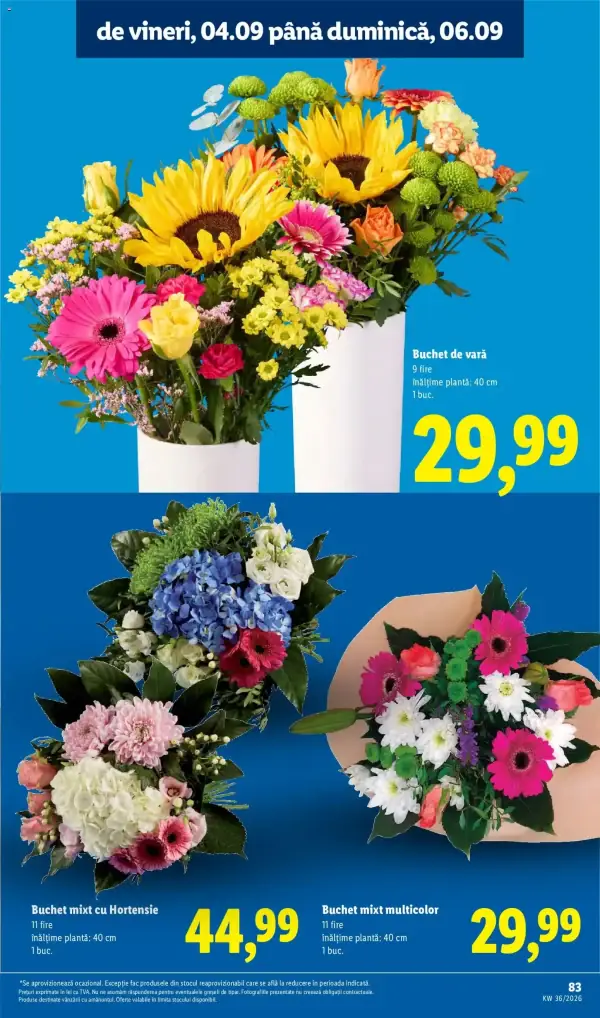 Pagina 83