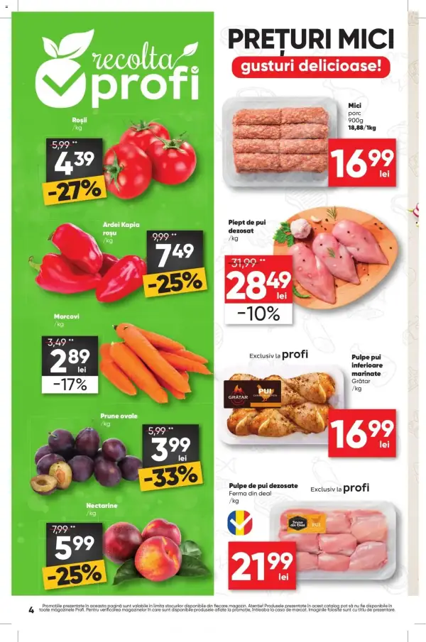 Pagina 4