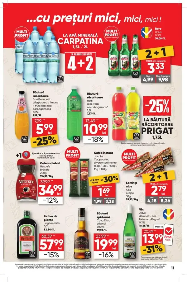 Pagina 11