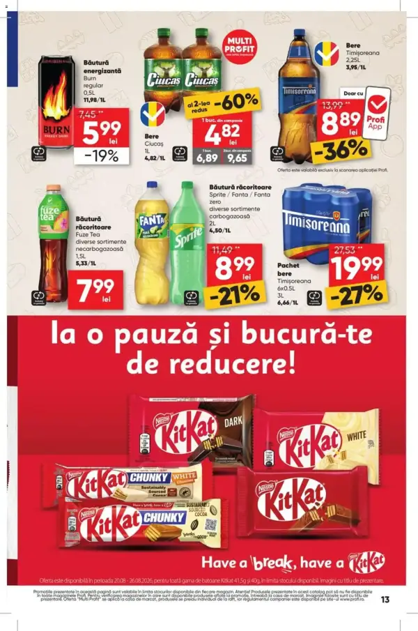 Pagina 13