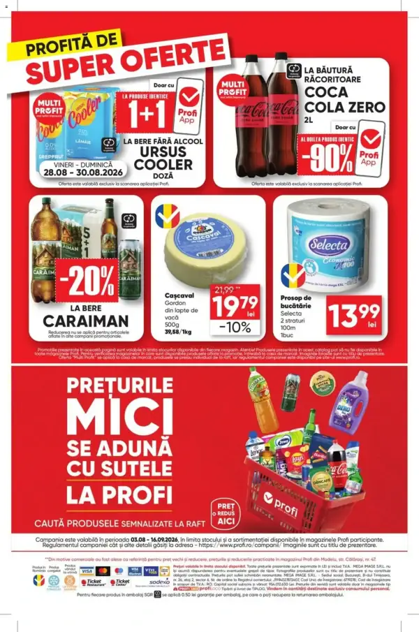 Pagina 12