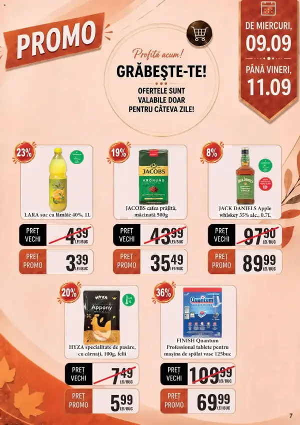 Pagina 7