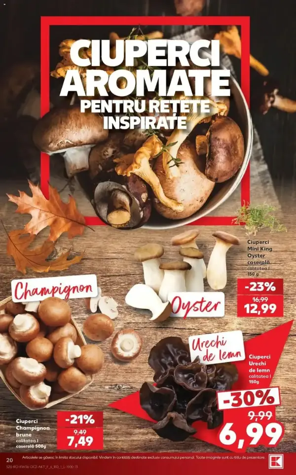 Pagina 20