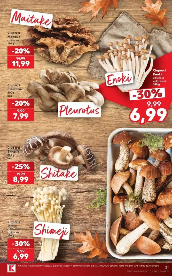 Pagina 21