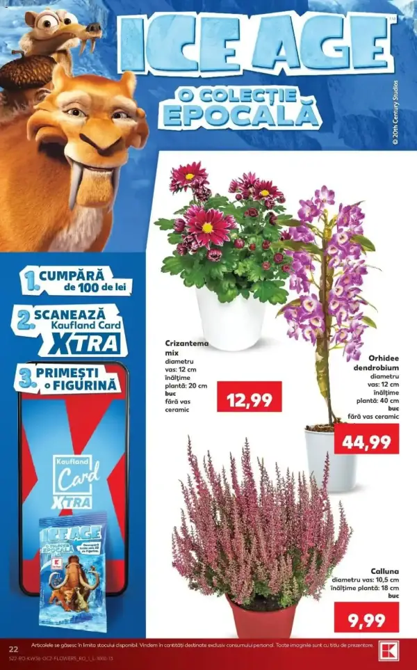 Pagina 22