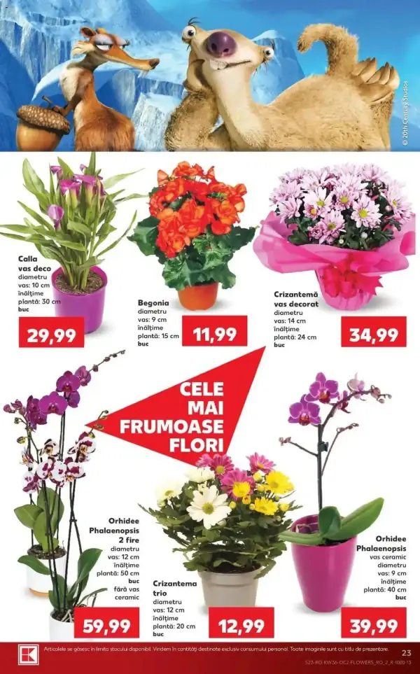 Pagina 23