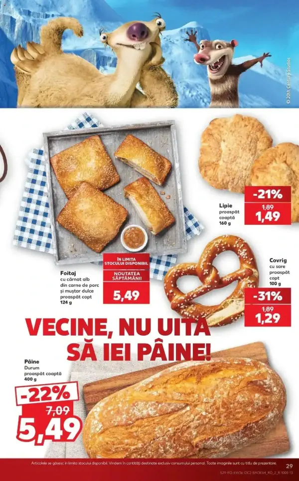 Pagina 29