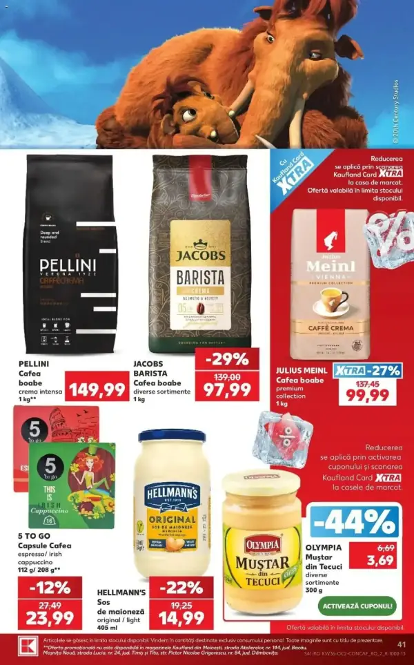 Pagina 41