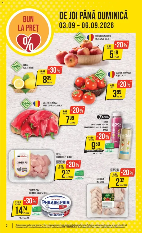 Pagina 2