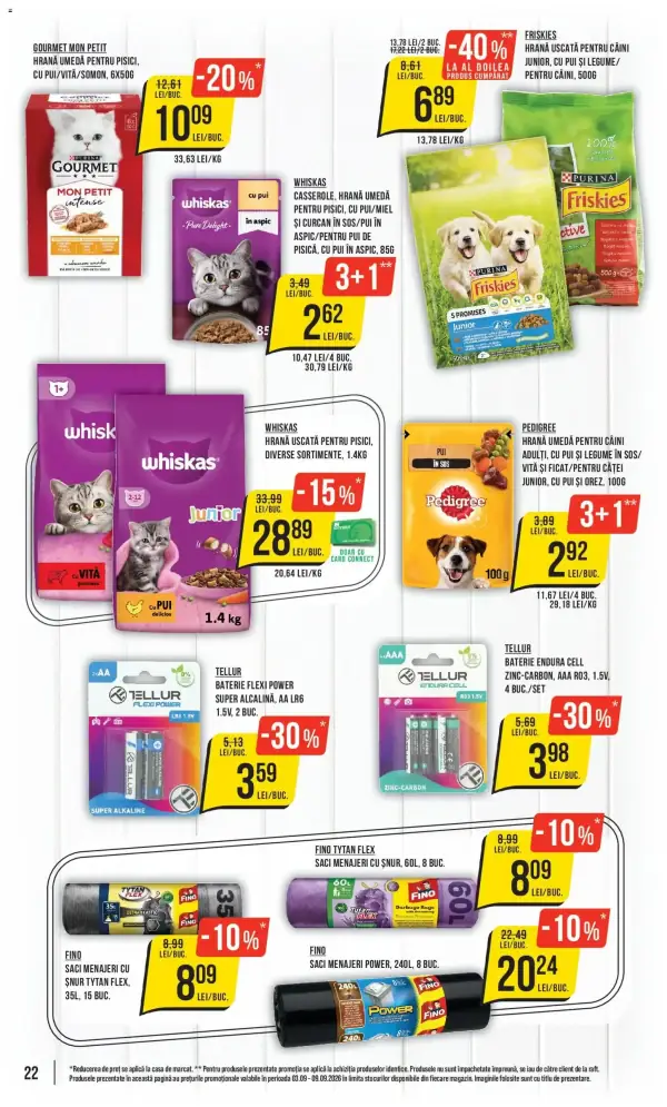 Pagina 22