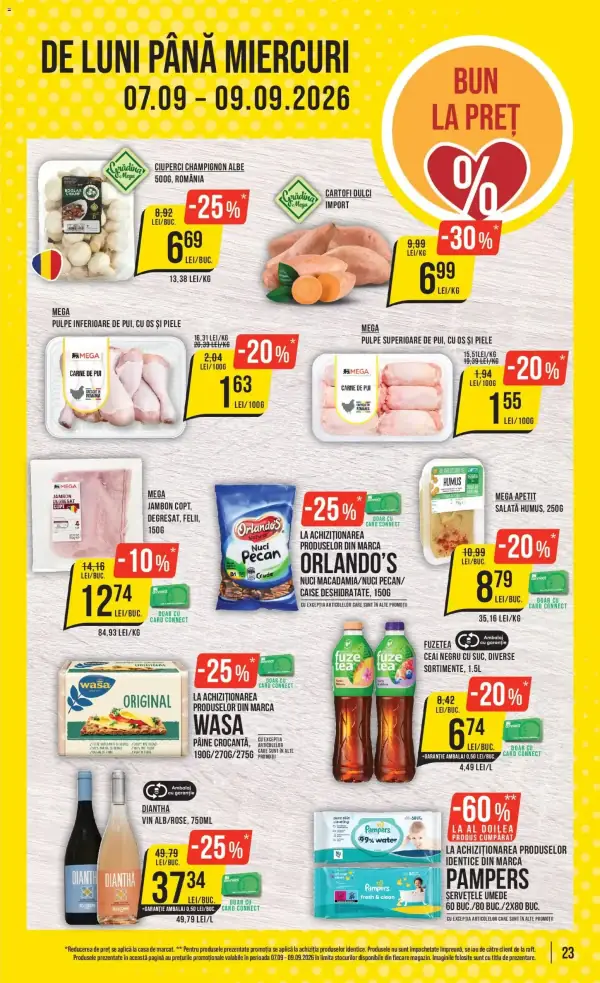 Pagina 23