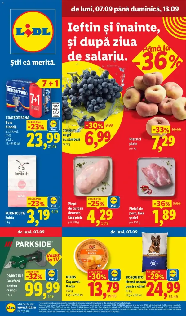 Pagina 1