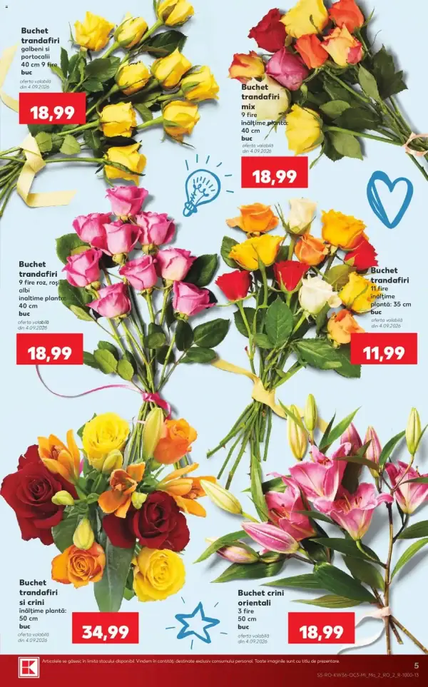 Pagina 5