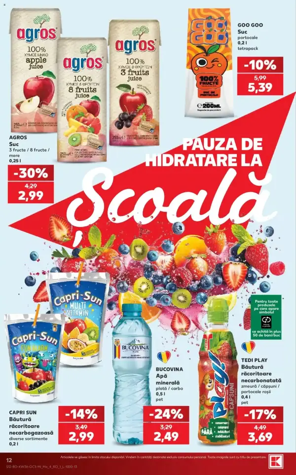 Pagina 12
